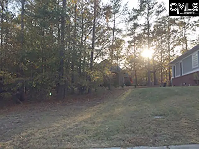 117 Cart Way, Blythewood, SC 29016 - #1