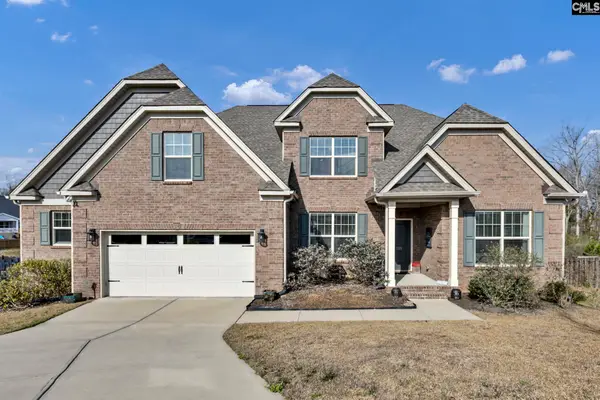 125 Chapin Creek Court, Chapin, SC 29036