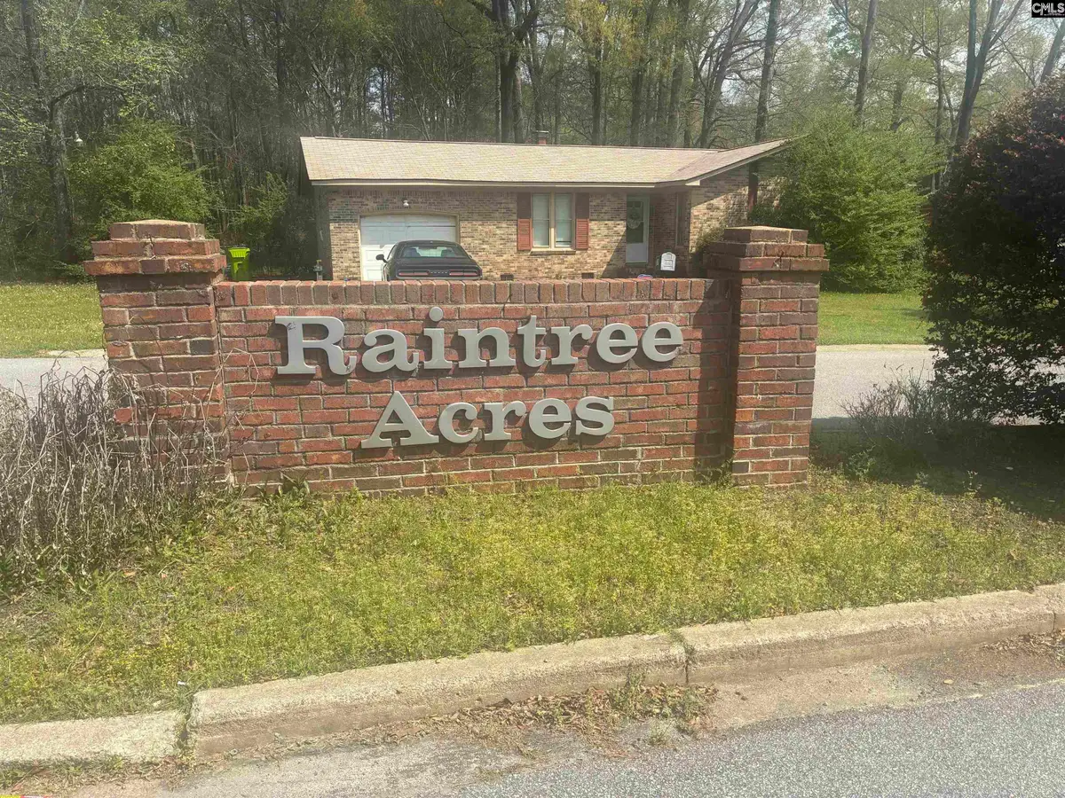 205 & 209 Beechwood Lane, Irmo, SC 29063 - #1