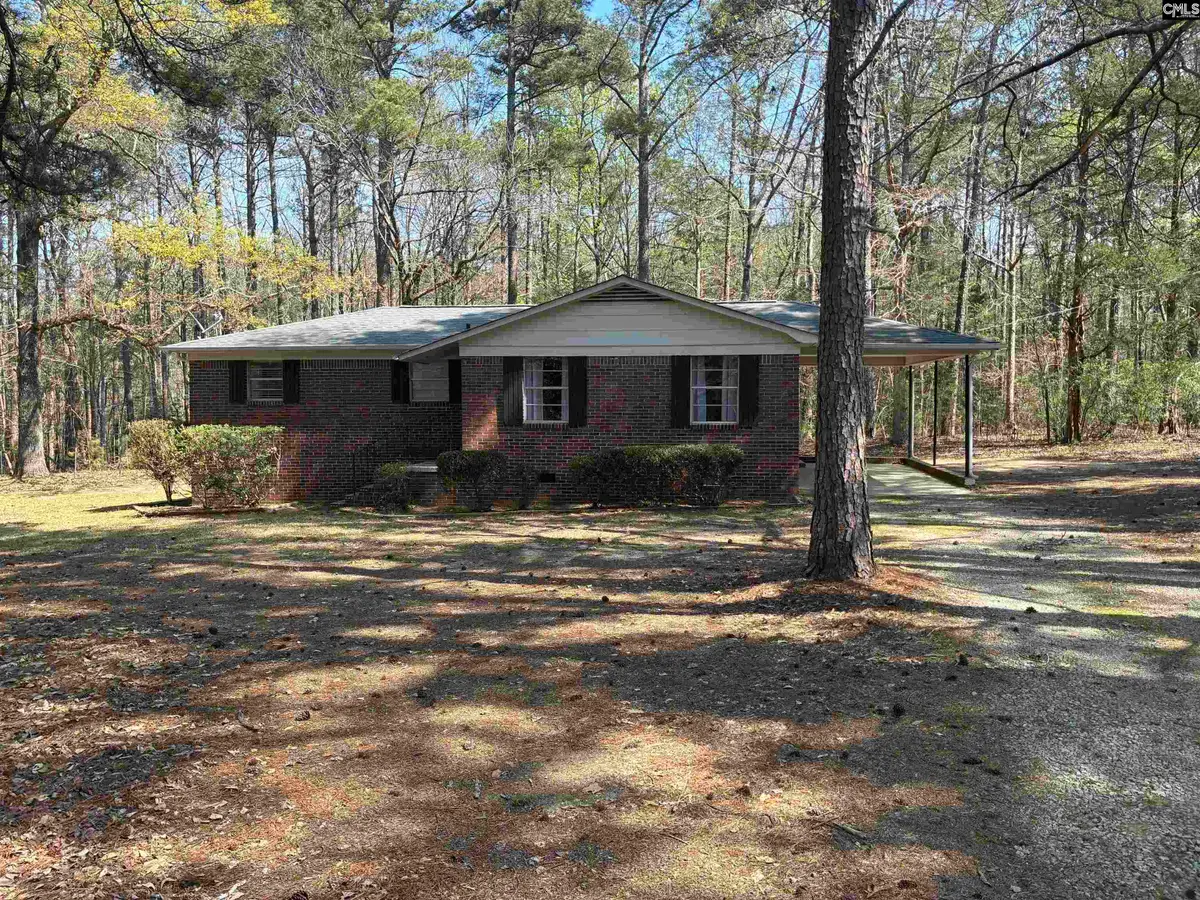 768 Dr Bowers Rd, Little Mountain, SC 29075 - #1