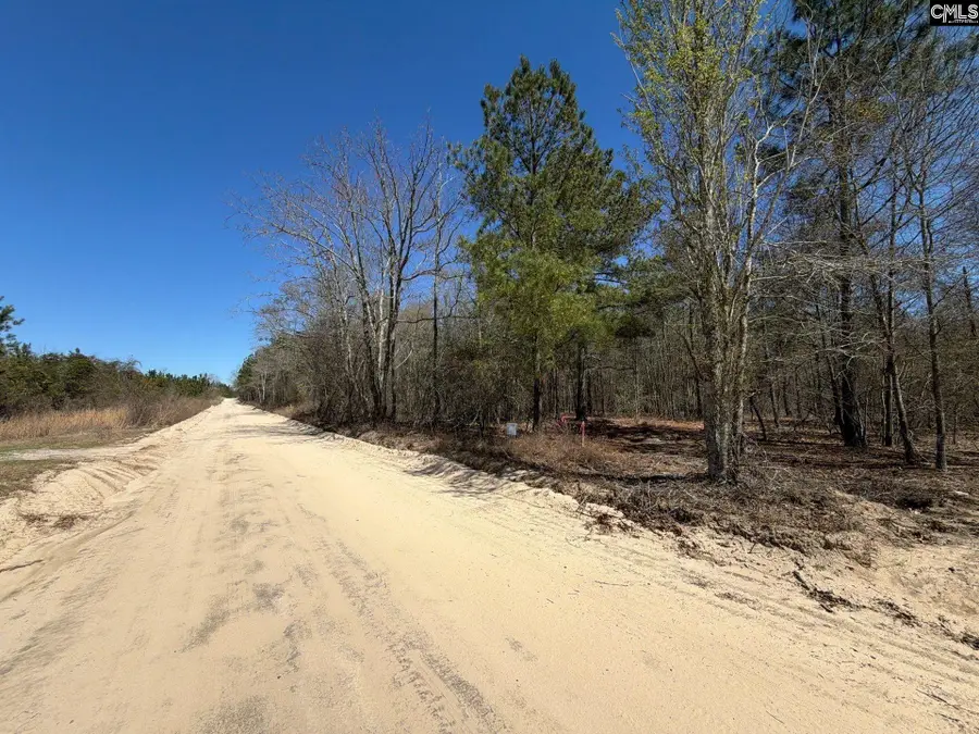 BHL 11 Boise Cascade Road #BHL 11, Bethune, SC 29009 - #2