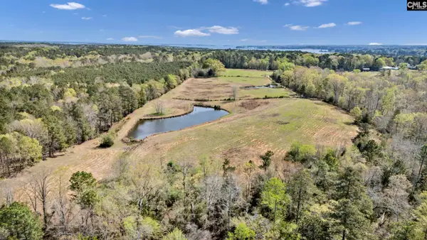 421 & 0 Shore Road, Gilbert, SC 29054