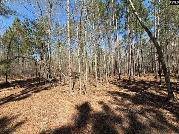 BHL 13 Boise Cascade Road #BHL 13, Bethune, SC 29009