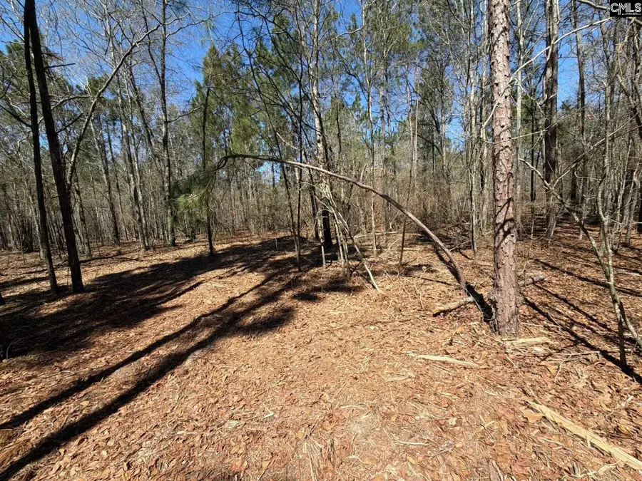 BHL 13 Boise Cascade Road #BHL 13, Bethune, SC 29009 - #2