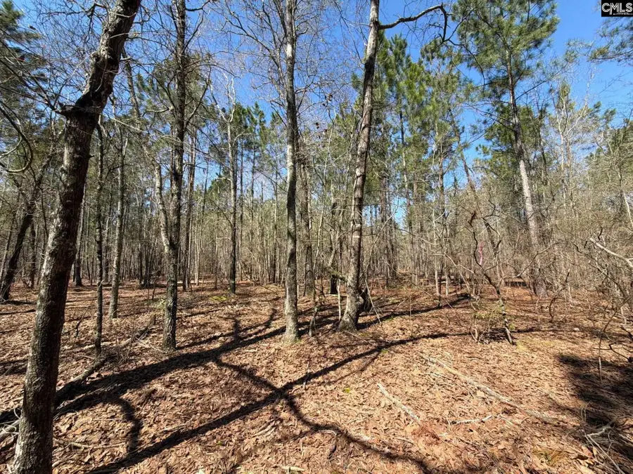 BHL 13 Boise Cascade Road #BHL 13, Bethune, SC 29009 - #3