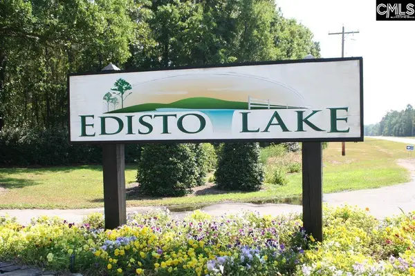TBD Edisto Lake Road #102, Wagener, SC 29164