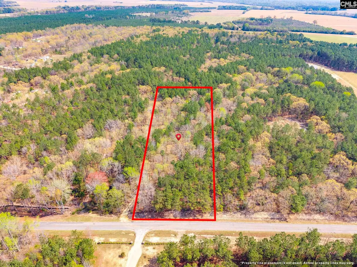 Springvale Drive, Bishopville, SC 29010 - #1