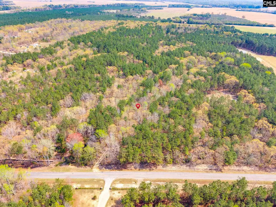 Springvale Drive, Bishopville, SC 29010 - #2