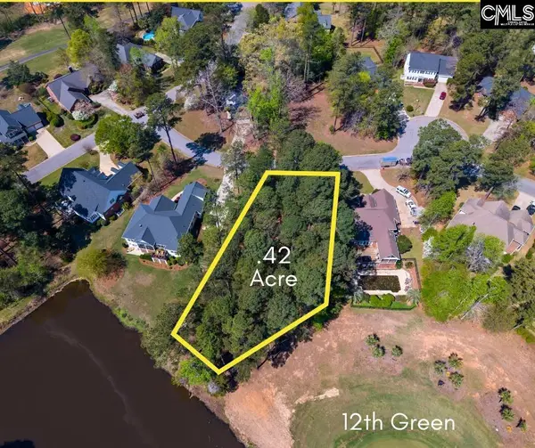 108 Oak Trace Court, Chapin, SC 29036