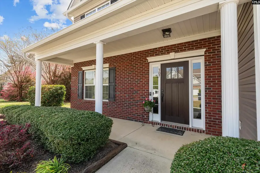 307 Eagle Claw Drive, Chapin, SC 29036 - #3