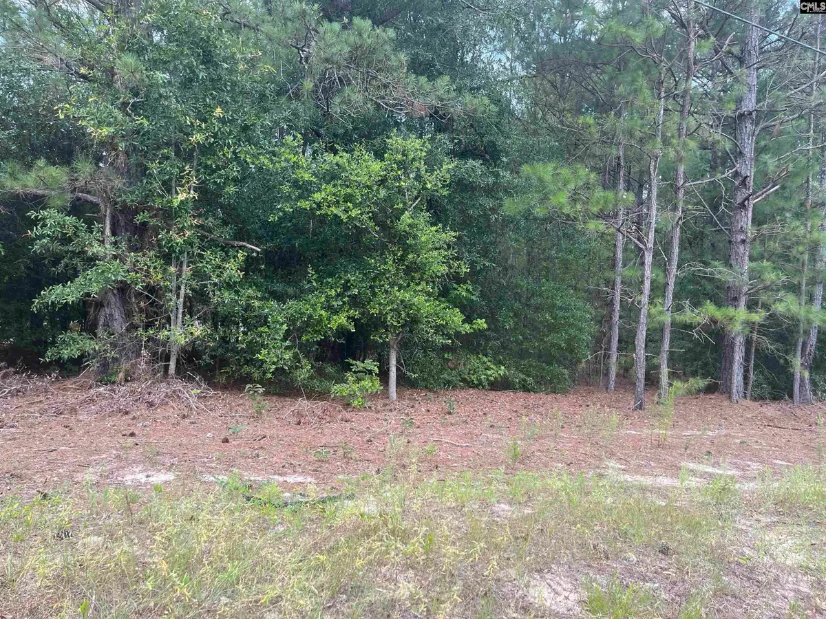 TBD Festival Trail Road, Salley, SC 29137 - #1