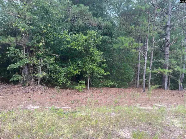 TBD Festival Trail Road, Salley, SC 29137