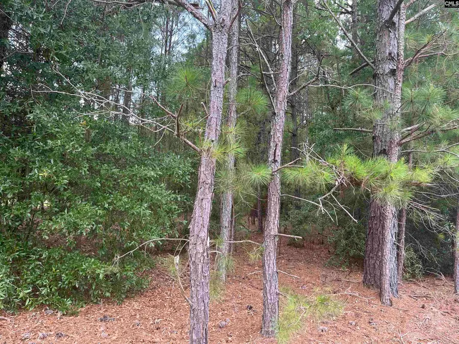 TBD Festival Trail Road, Salley, SC 29137 - #2