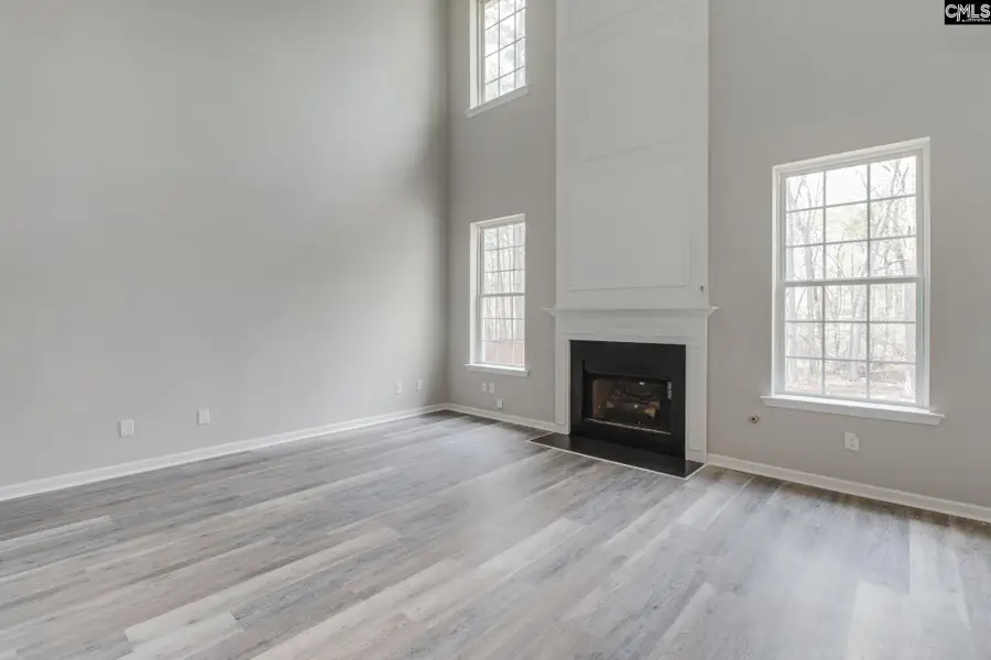 203 Magnolia Bluff Drive, Columbia, SC 29229 - #2