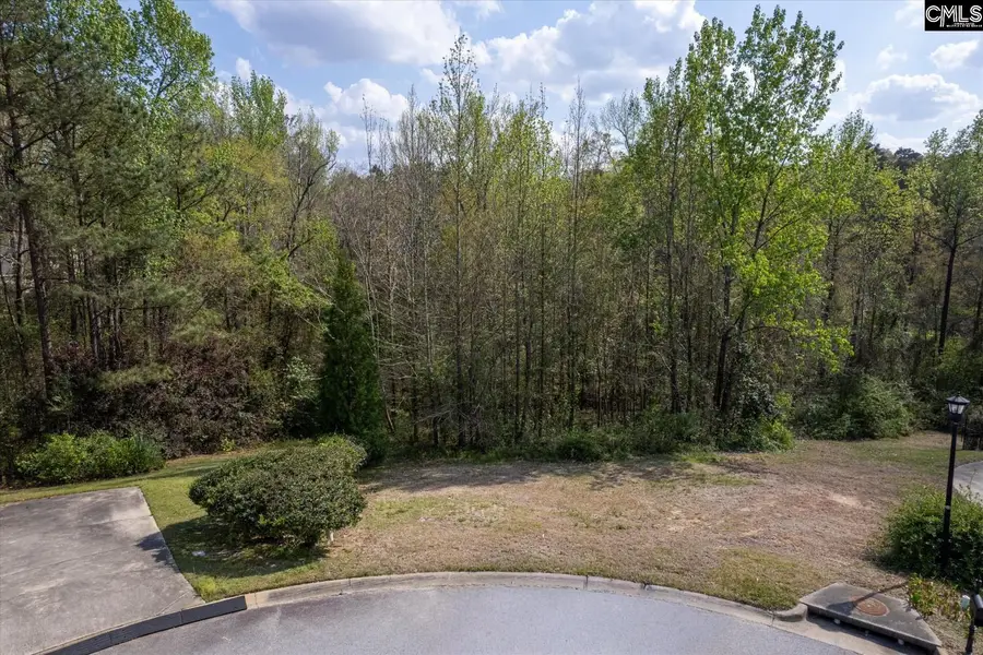 145 Autumn Oaks Lane, Lexington, SC 29073 - #2