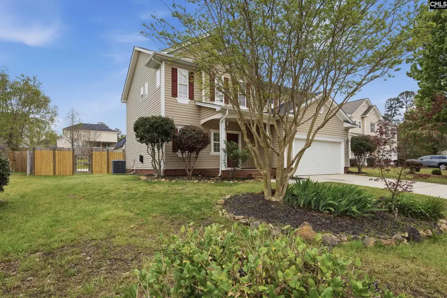 247 Winterberry Loop, Lexington, SC 29072 - #3