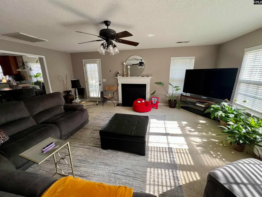 310 Wintergreen Road, Columbia, SC 29229 - #3