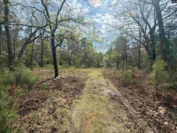 129 Treemount Lane, Gaston, SC 29053