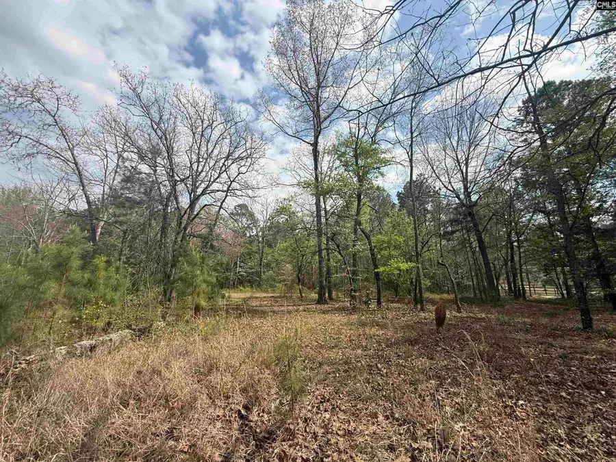 129 Treemount Lane, Gaston, SC 29053 - #3