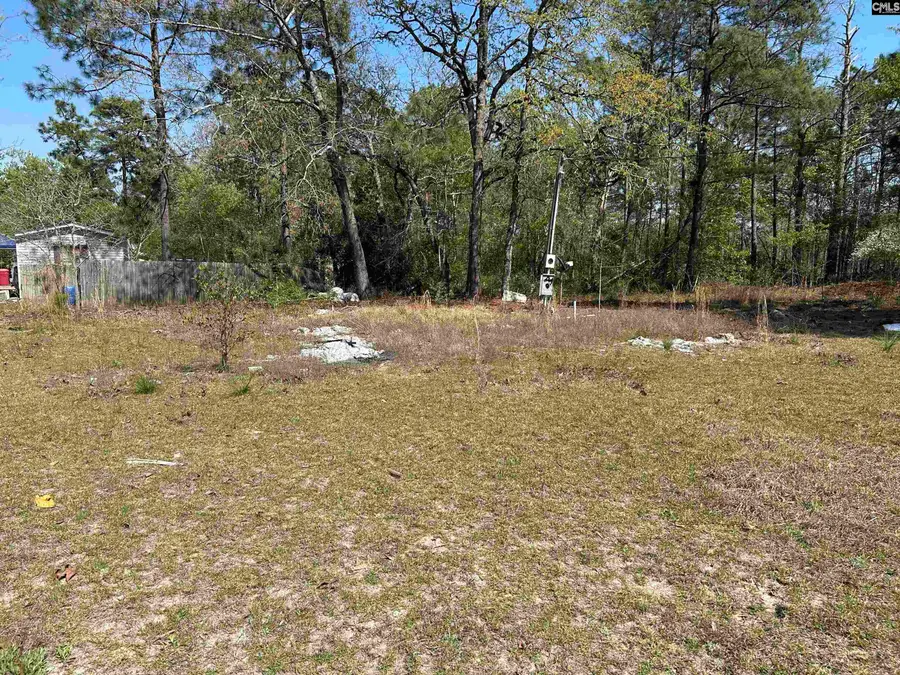 149 Hass Lucas Road, Gaston, SC 29053 - #3