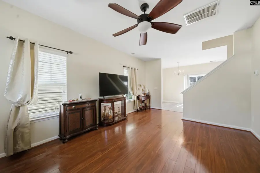 163 Stanley Court, Lexington, SC 29073 - #3