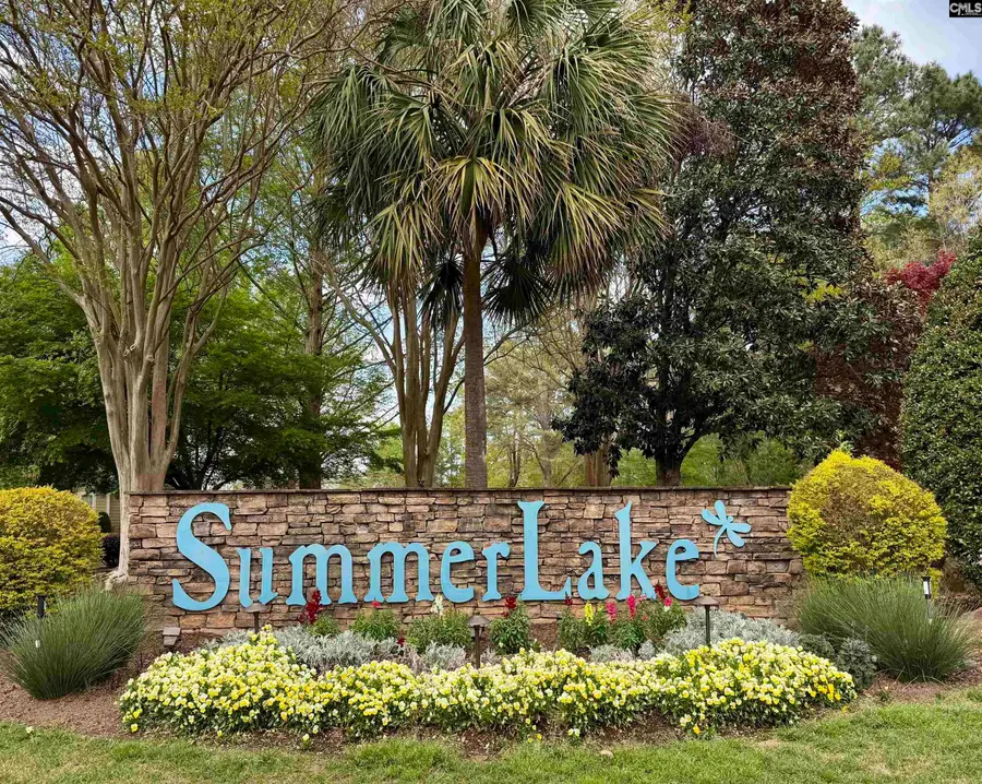 115 Hidden Lane, Lexington, SC 29072 - #3