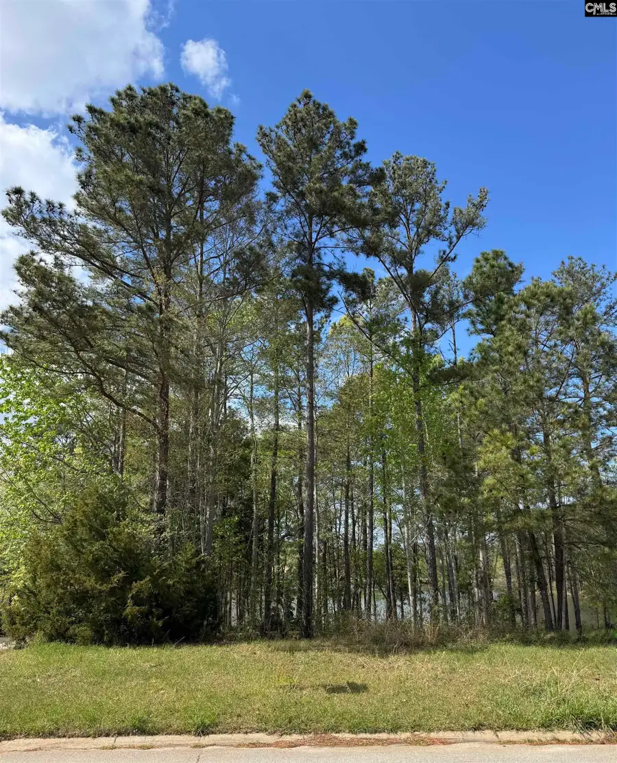 143 Hidden Lane, Lexington, SC 29072 - #2