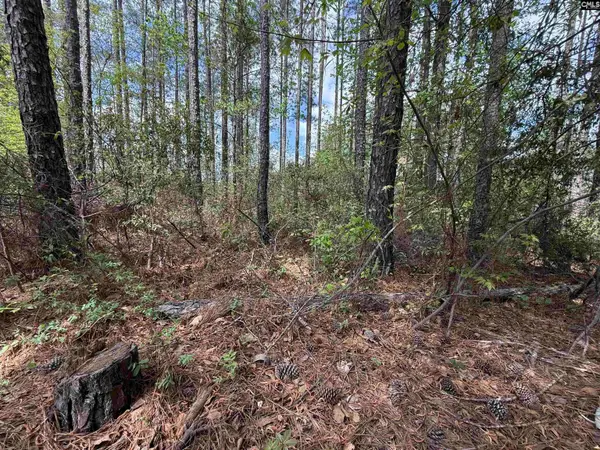 116 High Pointe Drive, Blythewood, SC 29016