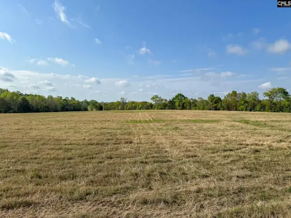 0 Shealy Road #Lot 4, Batesburg, SC 29006