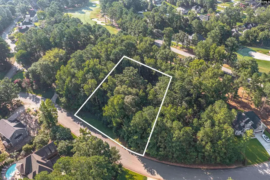 118 Lake Summit Drive, Chapin, SC 29036 - #2