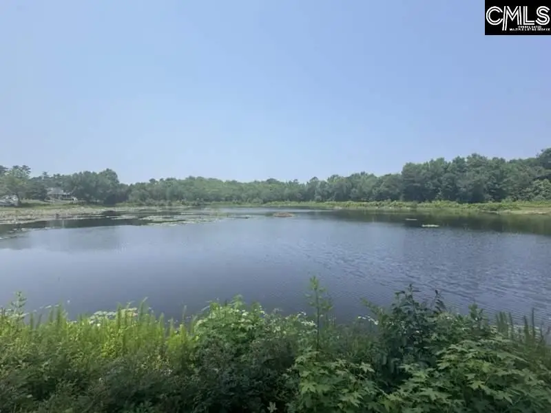 Mossborough Drive, Oak Grove, SC 29073 - #1