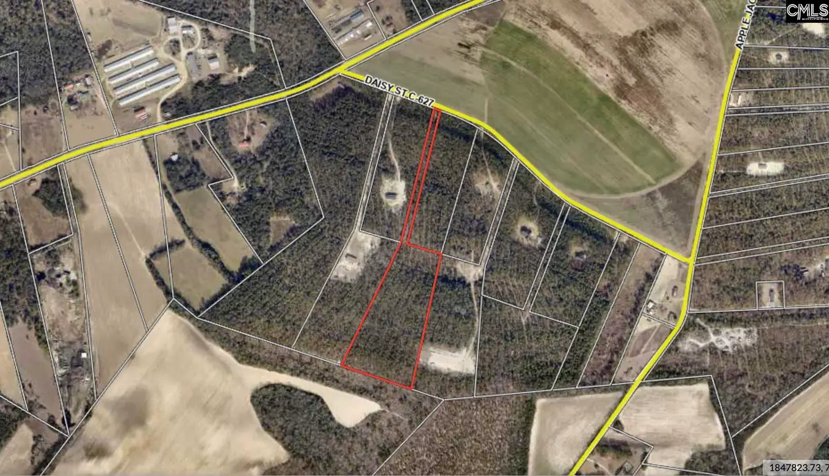 0 Daisy Street, Batesburg, SC 29006 - #1