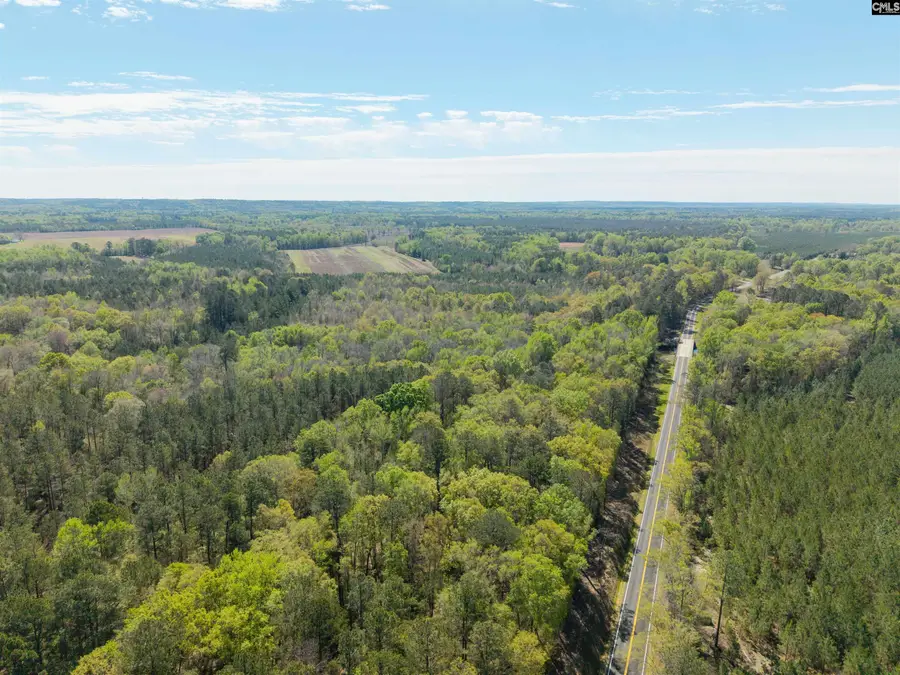 Horatio Haygood Road, Rembert, SC 29128 - #2