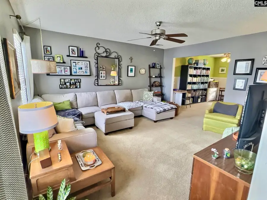 380 Eagle Pointe Drive, Chapin, SC 29036 - #3