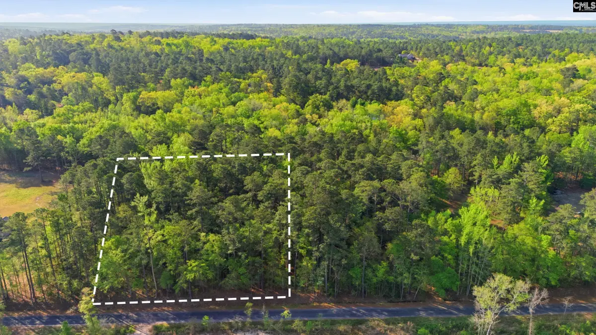 Buck Drive, Hopkins, SC 29061 - #1