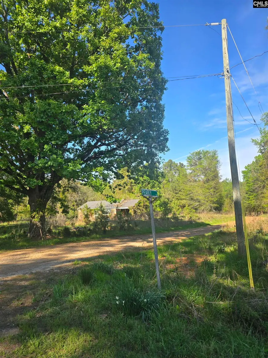 0000 St Barnabas Church Road, Jenkinsville, SC 29065 - #2