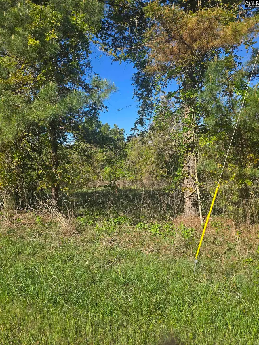 0000 St Barnabas Church Road, Jenkinsville, SC 29065 - #3