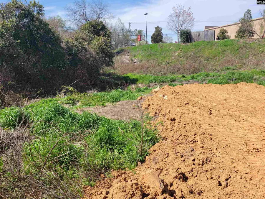 E/s Tremont Avenue, Columbia, SC 29203 - #3