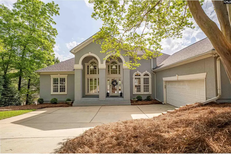 132 Magnolia Key Drive, Chapin, SC 29036 - #3