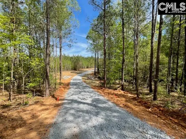 Lot 2 Highway 121, Silverstreet, SC 29145 - #3