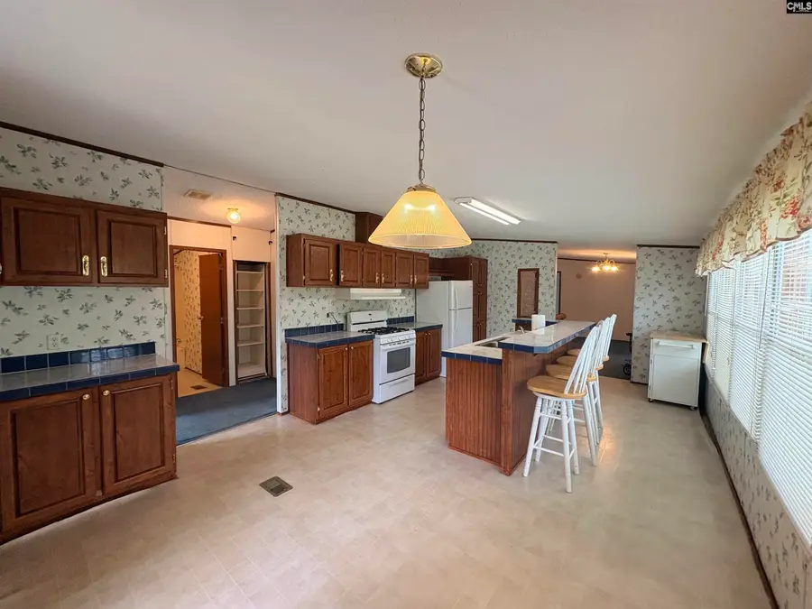 540 Justice Road, North, SC 29112 - #2