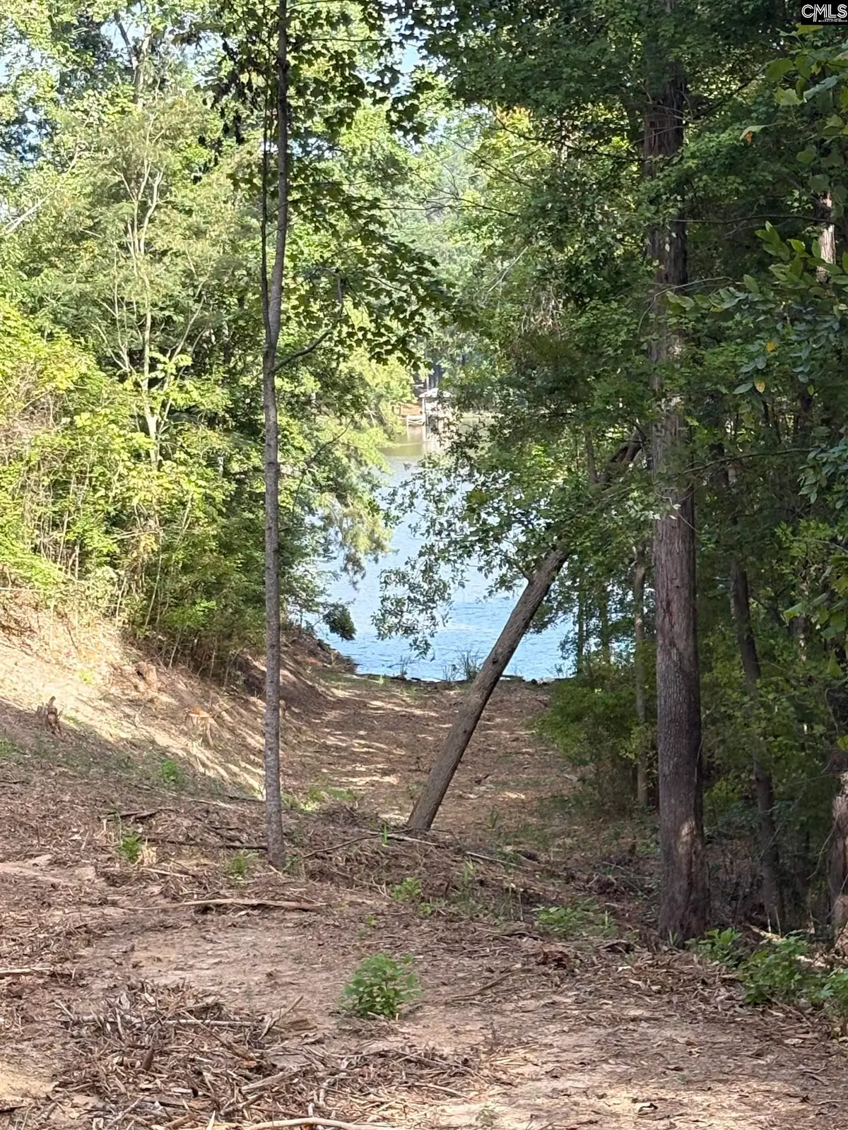 80 Valley 1 Drive, Winnsboro, SC 29180 - #1