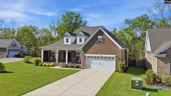 305 Daymark Drive, Chapin, SC 29063