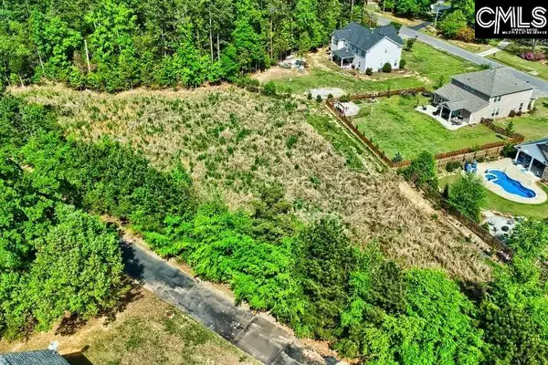 109 Carrituck Court, Chapin, SC 29036