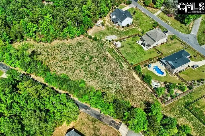 109 Carrituck Court, Chapin, SC 29036 - #2