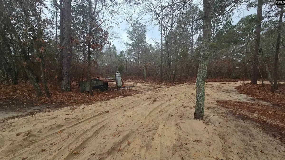 165 Landfill Lane, Lexington, SC 29073 - #1