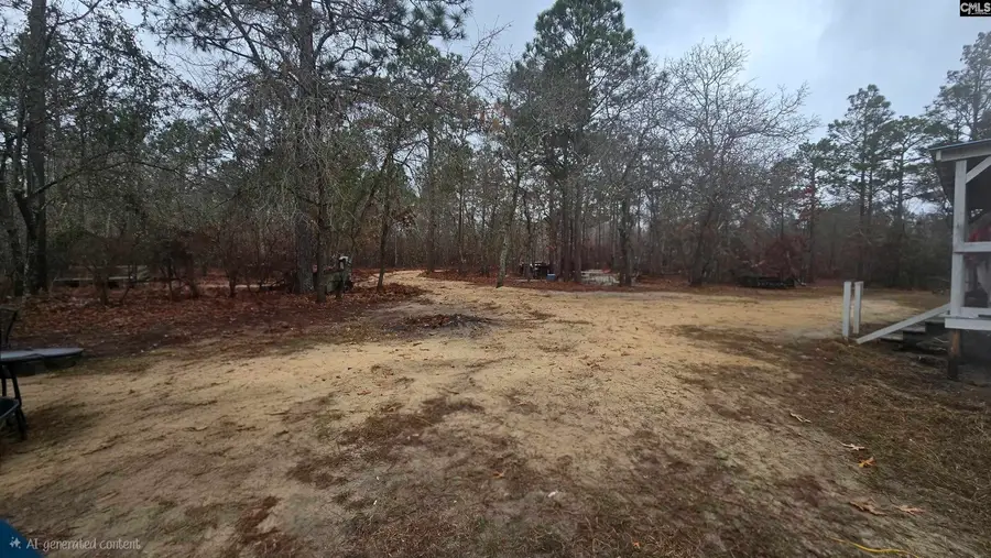 165 Landfill Lane, Lexington, SC 29073 - #3