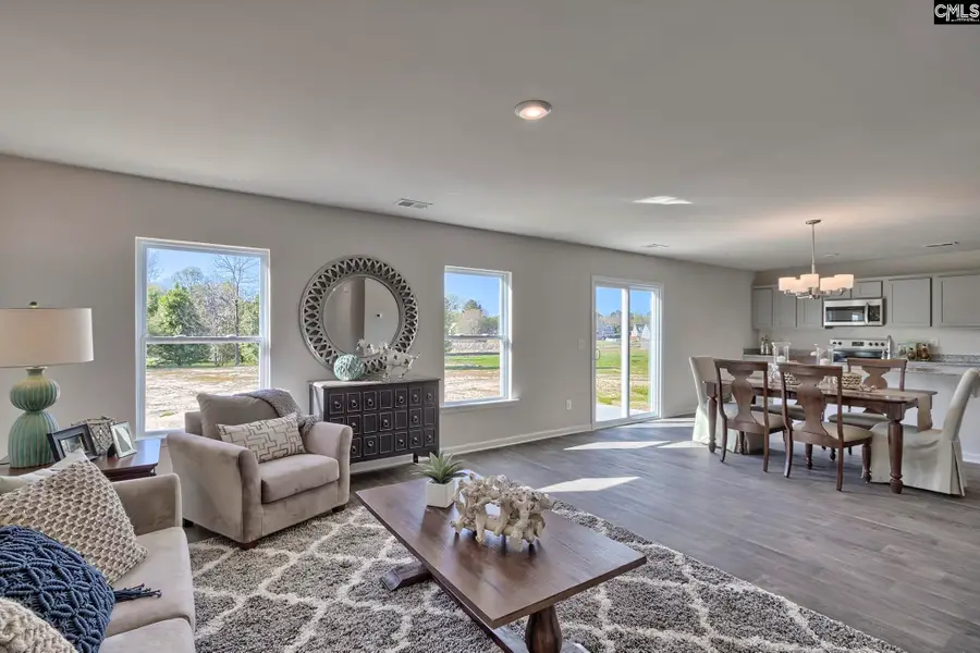 193 Calm Citadel Drive, Pelion, SC 29123 - #3