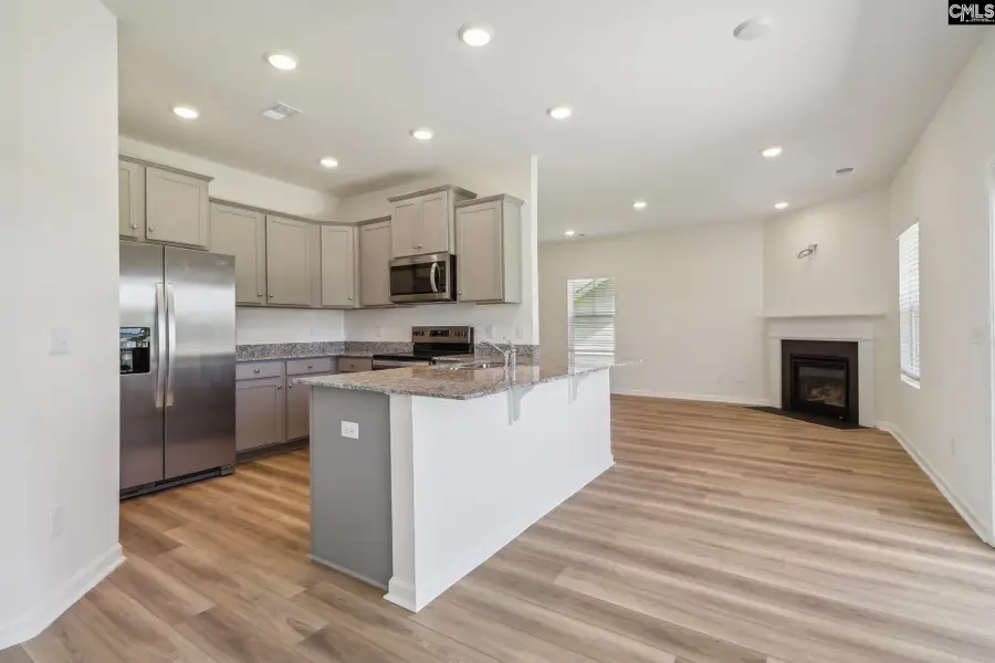 632 Old Charleston Road, Pelion, SC 29123 - #3