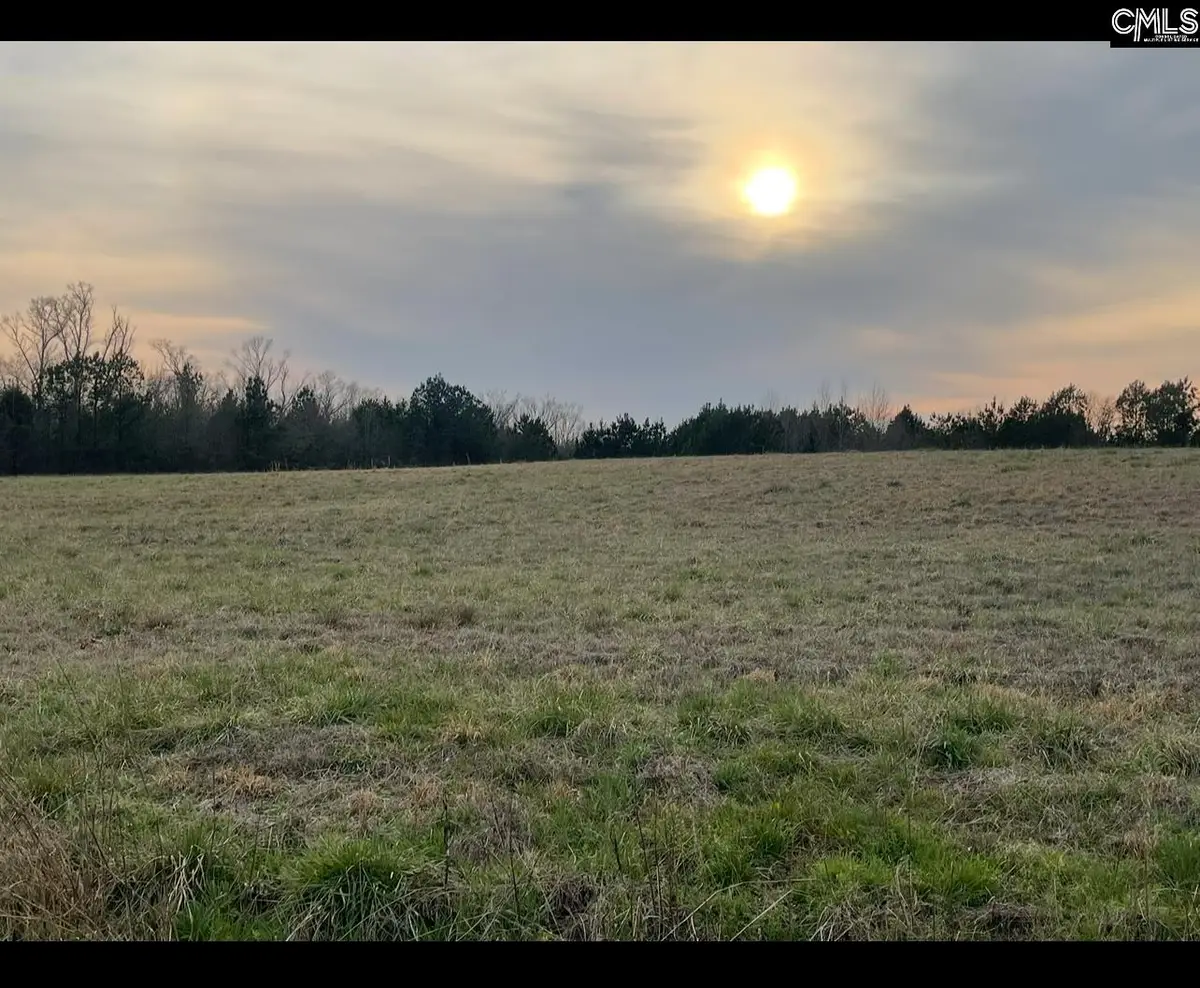 0 Lewie Road, Gilbert, SC 29054 - #1